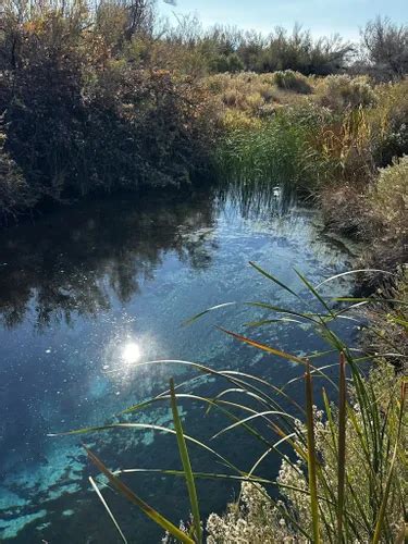 Best Hikes and Trails in Ash Meadows National Wildlife Refuge | AllTrails