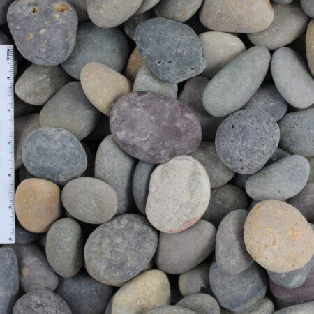 Shop Mexican Beach Pebble Wholesale Stone Solutions