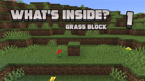 What S Inside Grass Block Minecraft Youtube