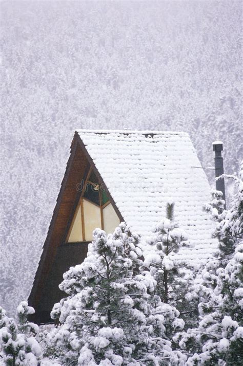 Cabin in snowy forest stock image. Image of color, frame - 23178593