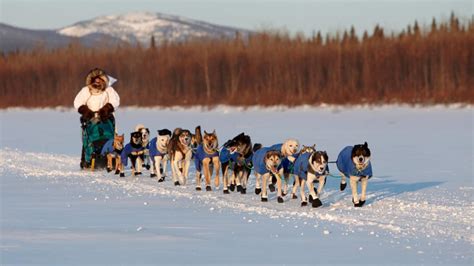 The Iditarod Route And History In Alaska Travel Alaska