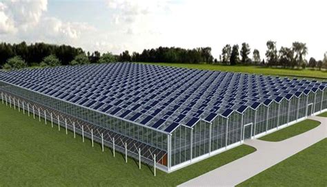 Photovoltaic Photovoltaic Greenhouse