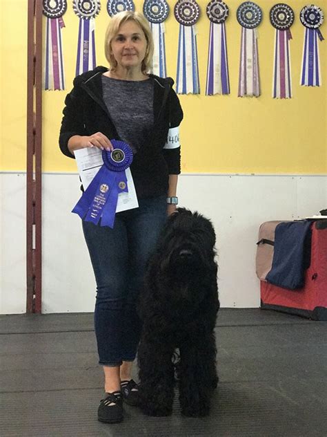 Black Russian Terrier Training