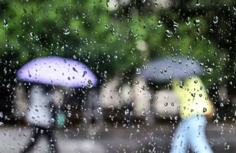 Sp Tem Chuva Mil Ficam Sem Luz E Cidade Tem Estado De Alerta Para