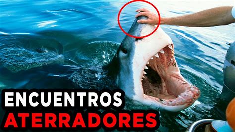 Top Encuentros Aterradores Con Tiburones Jam S Captados Por La