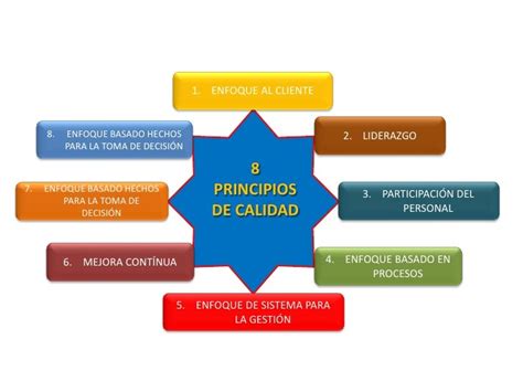 8 Principios De Calidad