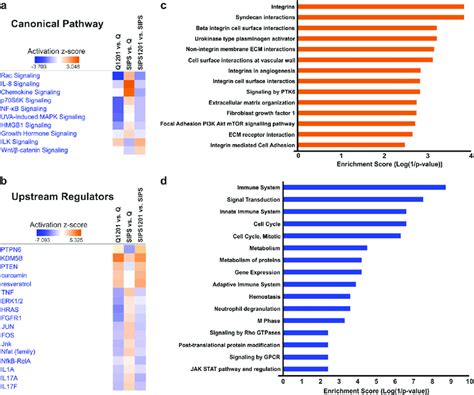 Analysis Of Pathways And Upstream Regulators Affected By 1201 Download Scientific Diagram