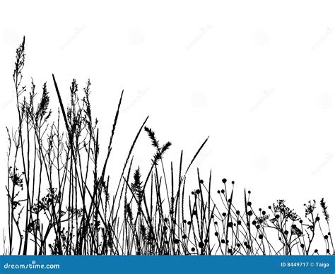 Grass Silhouette Design Natural Environment Herb Border Cartoon Vector