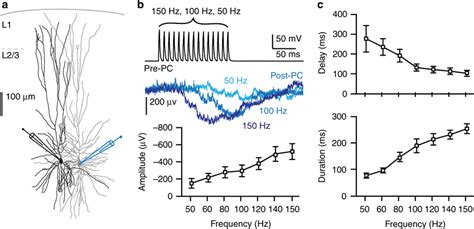 Lateral Inhibition Between Pyramidal Neurons In Human Temporal Cortex