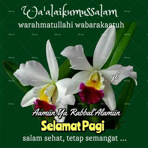 Assalamualaikum Salam Tahajjud Salam Subuh Dan Selamat Pagi Ucapan