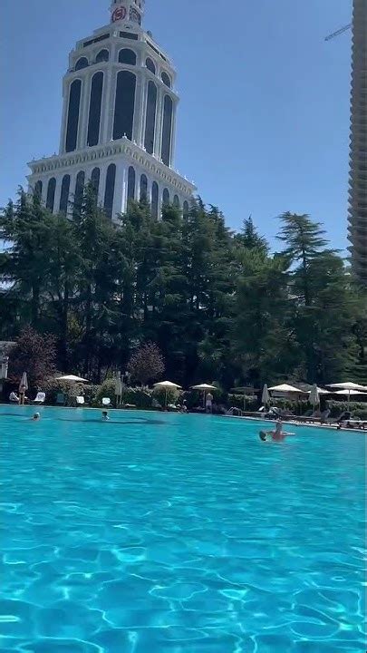 Sheraton pool jasmine Batumi бассейн Гостиницы Шератон Грузия Батуми 🇬🇪 ...