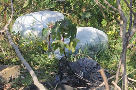 Discarica Nel Quartiere Genneruxi Nuova Segnalazione Mobilitati Con