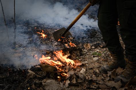 Combatientes Forestales De La Semadet Participan En Intercambio Internacional Gobierno Del