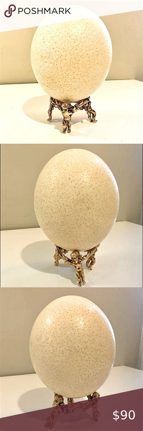 Ostrich Egg On Bronze Putti Cherub Stand From Victorian Cabinet Of Curiosities Mirror Table