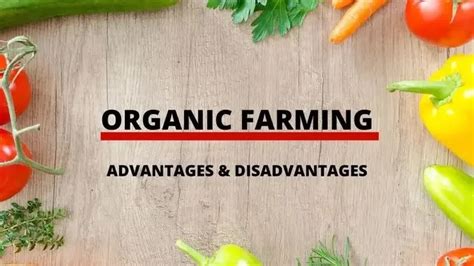 Organic Farming In Agriculture Advantages And Disadvantages