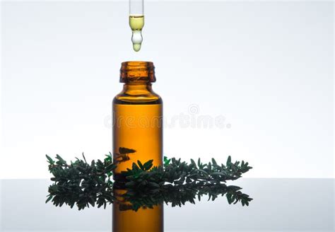 Essential Oil With Thyme Leaves In Amber Glass Bottle With Dropper