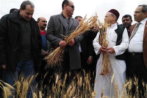 زراعة النواب تزور مطروح لحصر مشكلات فلاحي المحافظة غدًا المصري اليوم