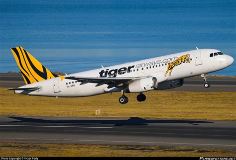 Vh Vno Tiger Airways Australia Airbus A Photo By Victor Pody