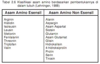 My Blog Pengertian Serta Contoh Asam Amino Esensial Dan Non Esensial