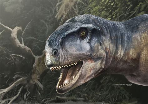 Descubren Una Nueva Especie De Dinosaurio En La Patagonia Conicet