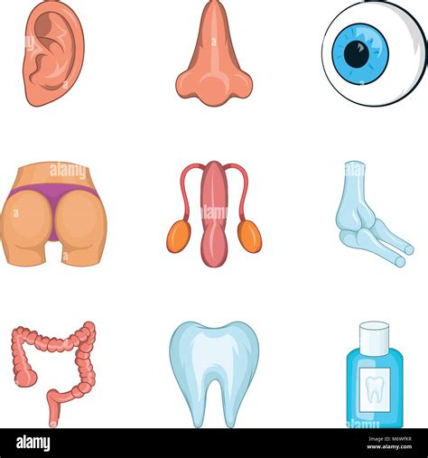 Medical body icons set, cartoon style Stock Vector Image & Art - Alamy