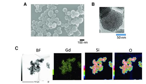 Mesoporous Silica Nanoparticles Msn Prepared By The Sol Gel Method