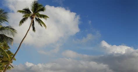 TCU Mens Basketball Frogs To Play In Diamond Head Classic Sports