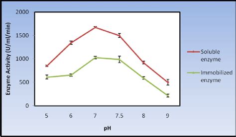 Effect of reaction pH on soluble and immobilized α amylase activity