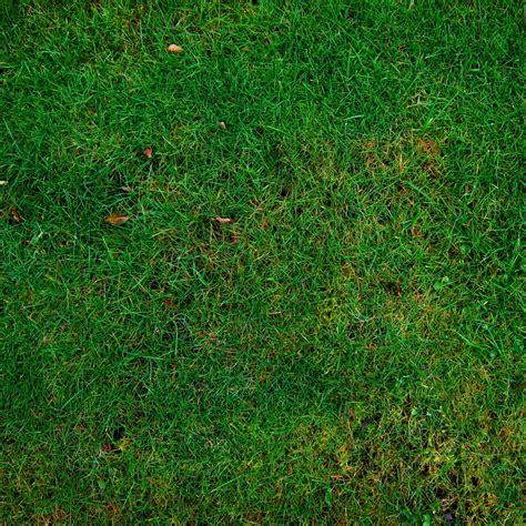 Banco De Imagens Estrutura Plantar Campo Gramado Prado Textura