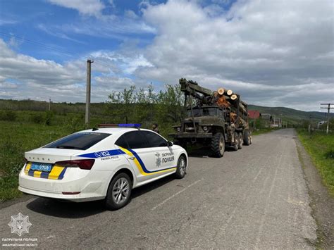 Закарпатські поліцейські зупинили дві вантажівки з деревиною сумнівного