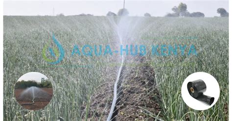 Rain Hose Irrigation Archives Aqua Hub Kenya