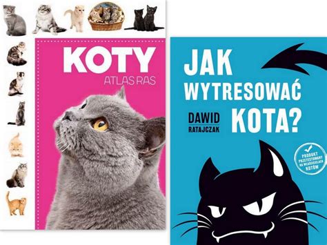 Koty Atlas ras Album Jak wytresować kota Porady 7334202407