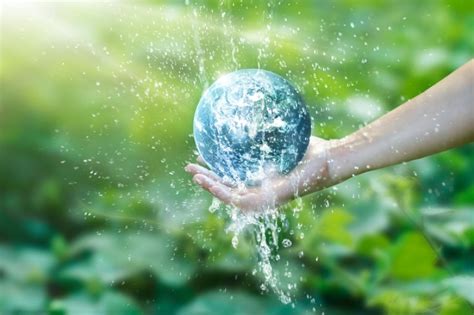 13 Razones Para Entender La Importancia Del Agua Según La Onu