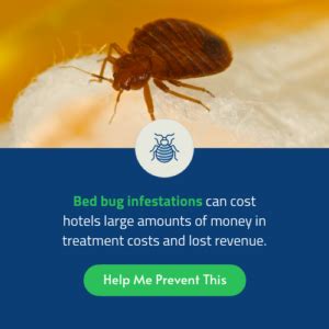 Bed Bugs in Hotels: Everything You Need to Know | Pestech