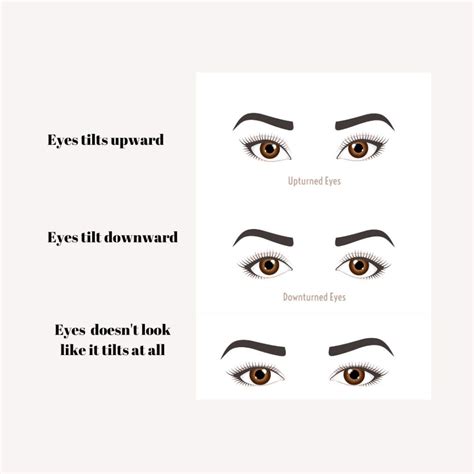 Eye Shape Guide