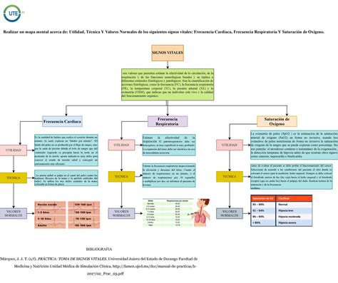 Signos Vitales Mapa Conceptual Signos Vitales Son Valores Que The