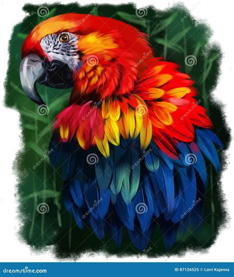 Parrot watercolor painting stock illustration. Illustration of head - 87126525