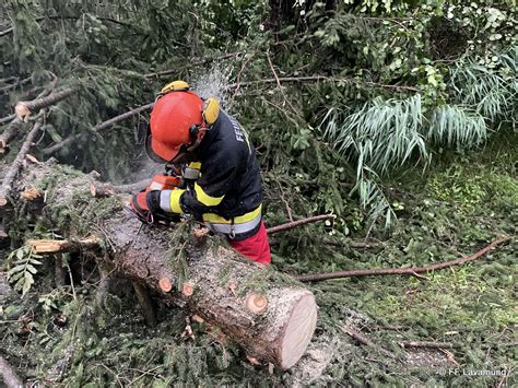 T Unwetter Umgest Rzte B Ume Freiwillige Feuerwehr Lavam Nd