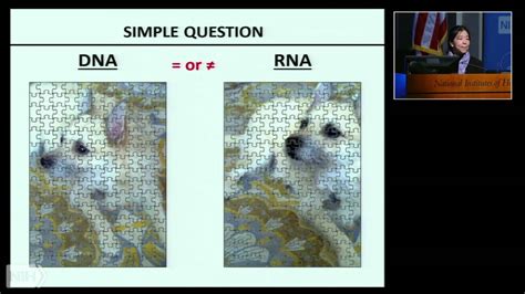 Beyond Dna Sequence Variation In The Rna Youtube