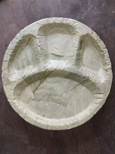 Inch Disposable Areca Leaf Plate At Rs Piece Somatane Phata