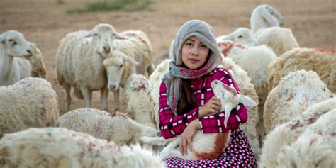 Rukun Syarat Sah Dan Tata Cara Penyembelihan Hewan Qurban