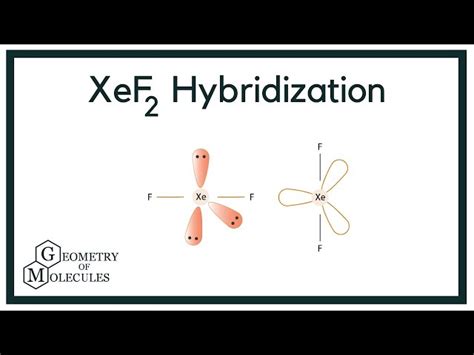 Xef2 Hybridization