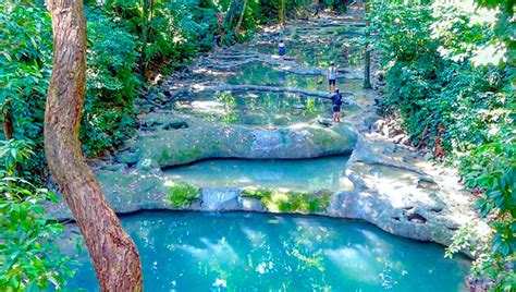 Las Pozas De Agua Cristalina En Izabal