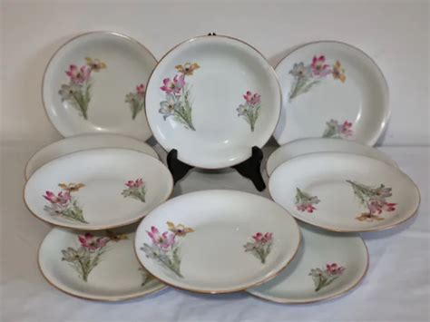 Lot De Assiettes Creuse Porcelaine De Luxe Ccp Paris Napor Motifs