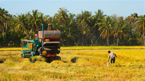 Machines On Ph Farms Catching Up With Asean Integration