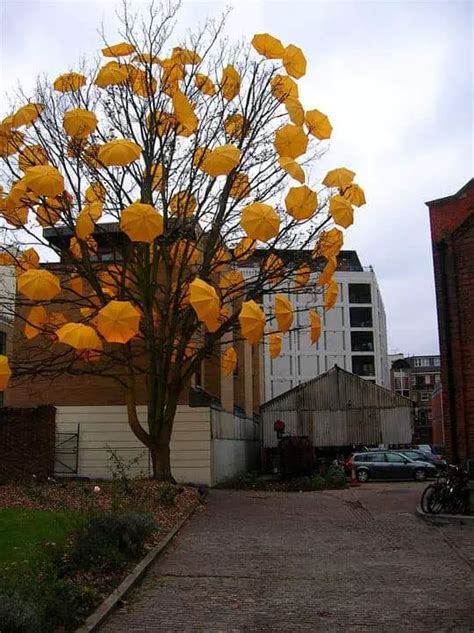 Umbrellas Tree By Sam Spencer 1001 Gardens