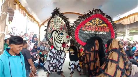 Barongan Warna Warni Ngamuk Barongan Caplok Caplokan Youtube