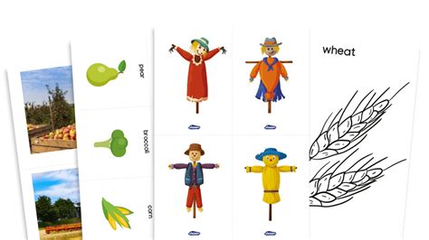 Ks1 Harvest Festival Writing Composition Resources Pack Re Science