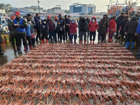 ‘2023 죽변항 수산물 축제 15~17일 개최 대구일보