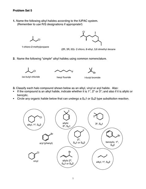 SOLUTION Hydrocarbons And Alkyl Halides Worksheet Studypool